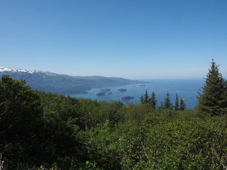 The View from Grace Ridge