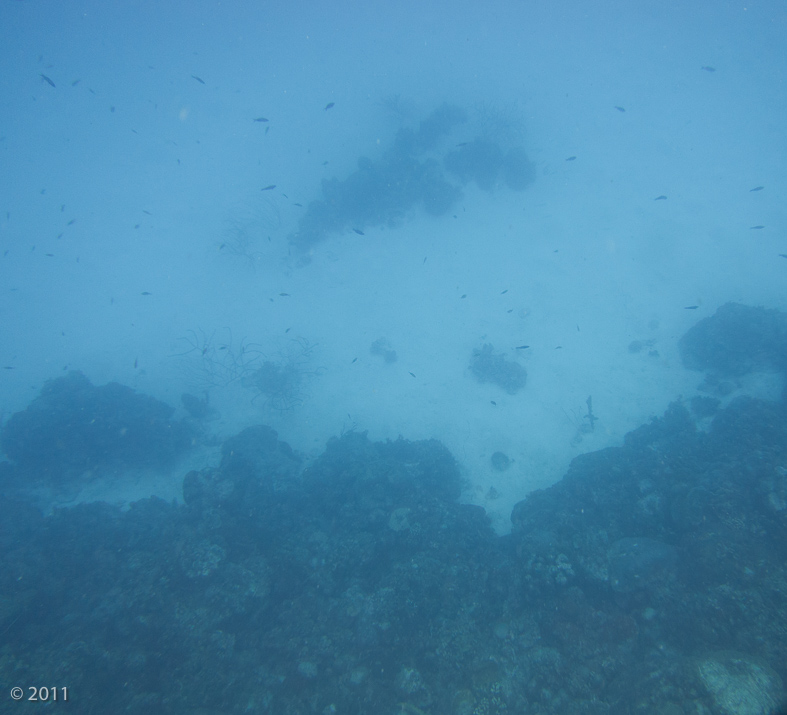 The view from 30 feet down to the sandy bottom at 80 feet