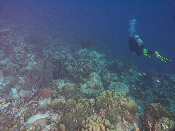 Valerie over the reef