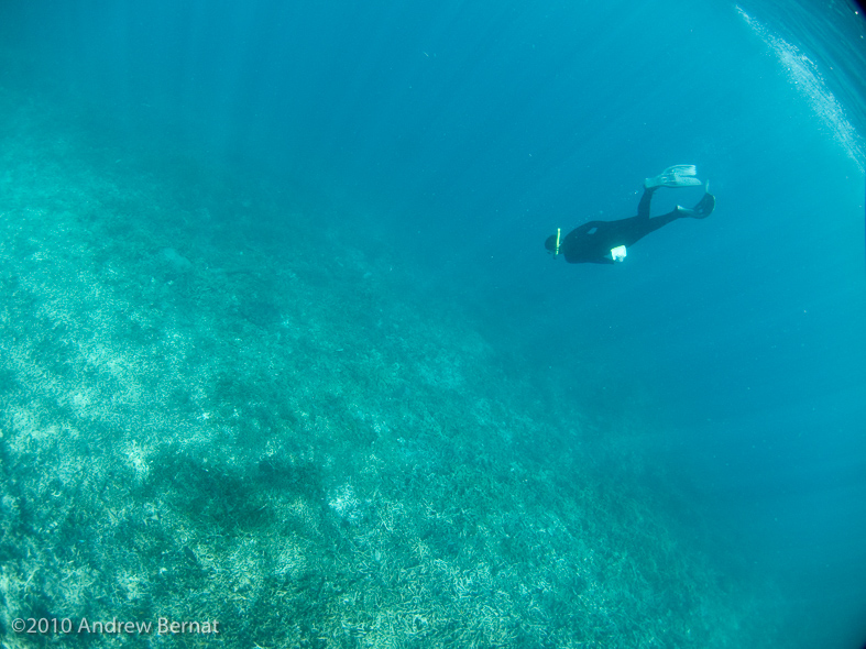 Valerie snorkeling