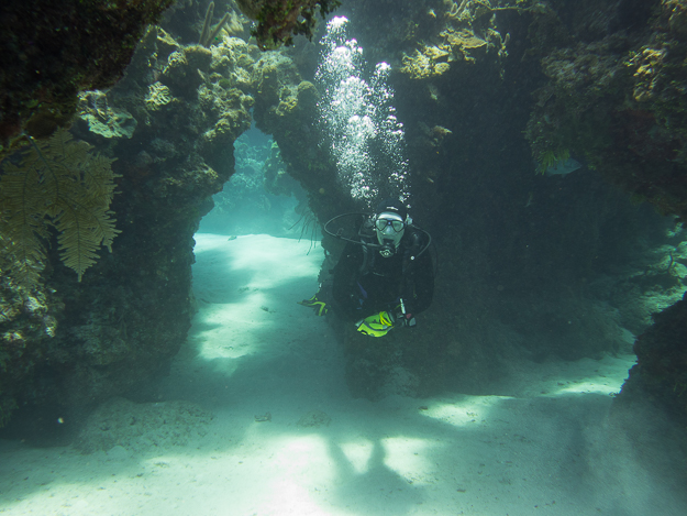 Underwater Cathedral