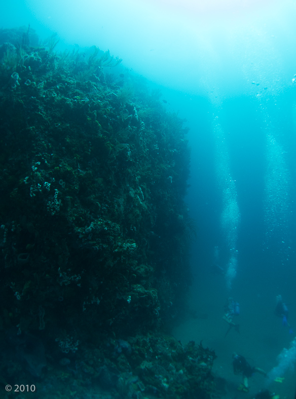 Man O’War Shoals